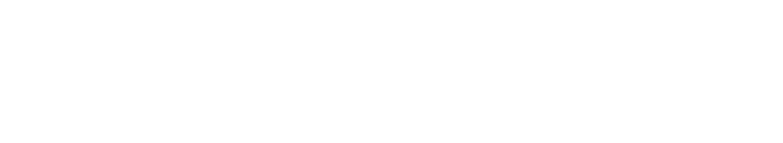 Retail Renault Group